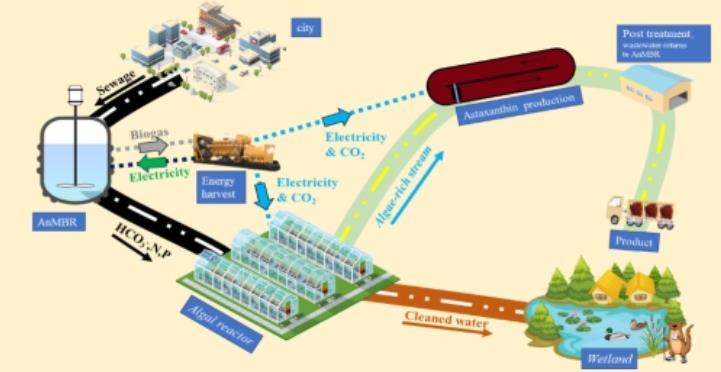 中國科學院重慶綠色智能技術研究院在污水處理新型工藝研究方面取得進展