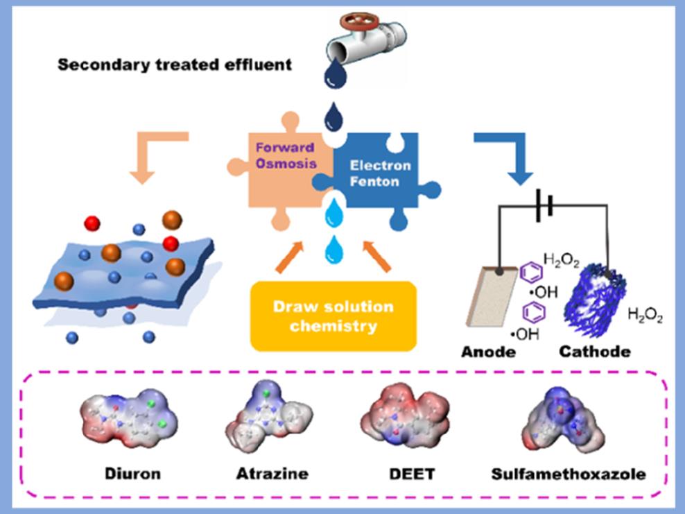 公司支撐團隊成員鄭磊在正滲透膜處理新污染物方面取得研究進展
